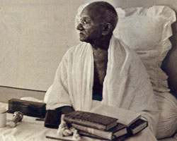 the mahatma